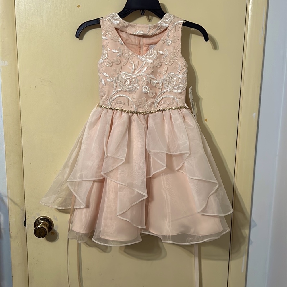 NWT Rare Editions Beautiful Girls Ruffle and Embroidered Dress. Size 8